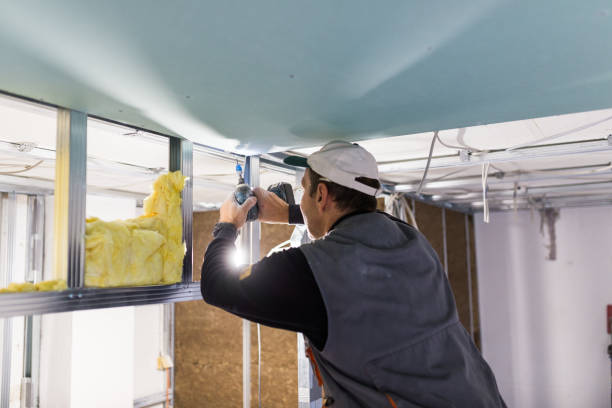 Best Vapor Barrier Installation  in Brewster Heights, NY